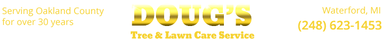 Doug's Tree and Lawn Care Service